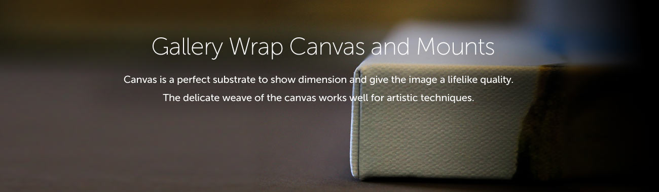 Fine Art Giclee Canvas Wraps from Your Photographs